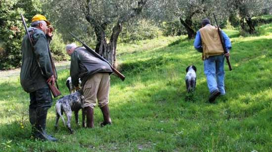 caccia_merlo_cacciatori