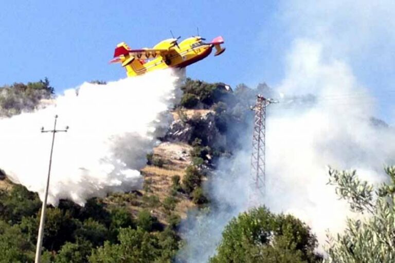 incubo-incendi-sicilia_06082012