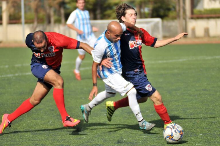 Concialdi-in-azione