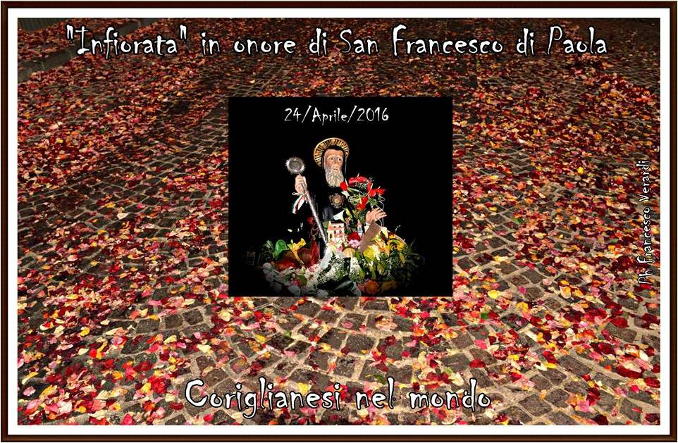 zinfiorata