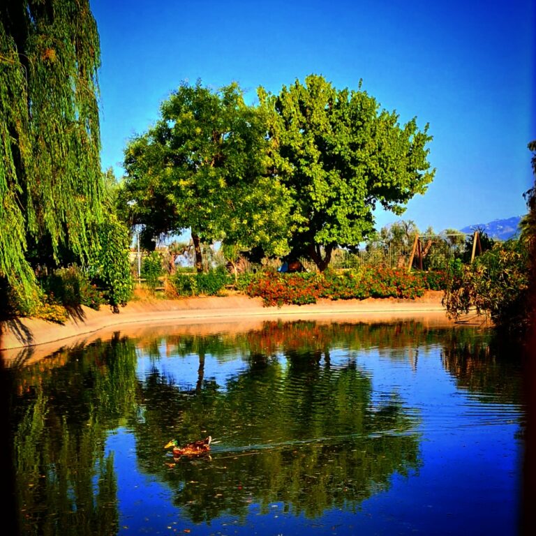 Simona-e-il-parco
