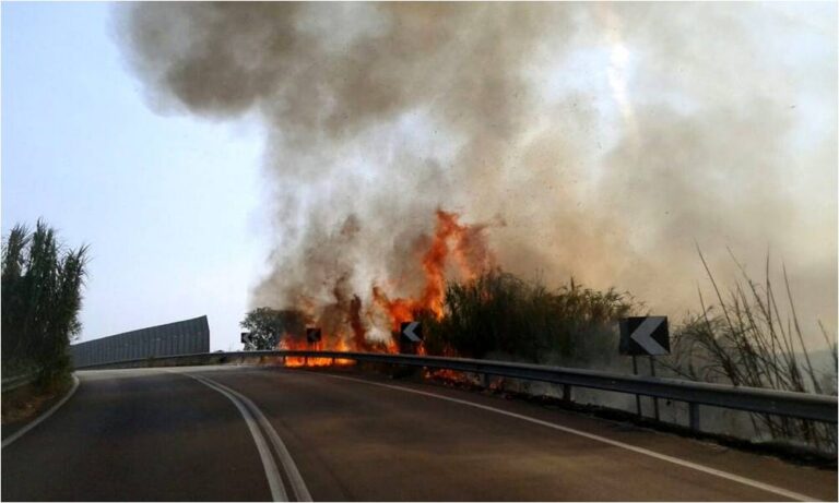incendiorepertorio