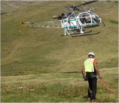 pollinosoccorso