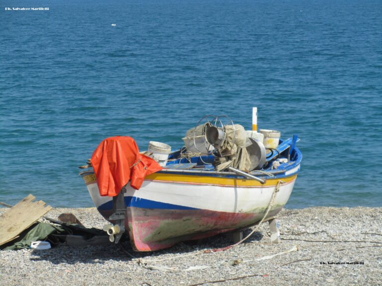 2018-06-15-Tutelare-la-piccola-pesca-Ph.-Salvatore-Martilotti-3