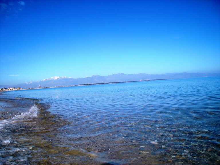 mare
