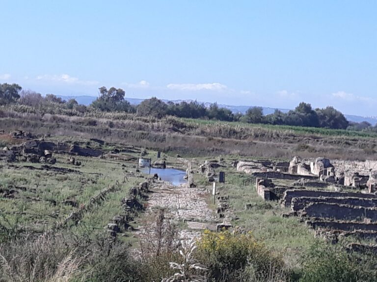 sibariparco