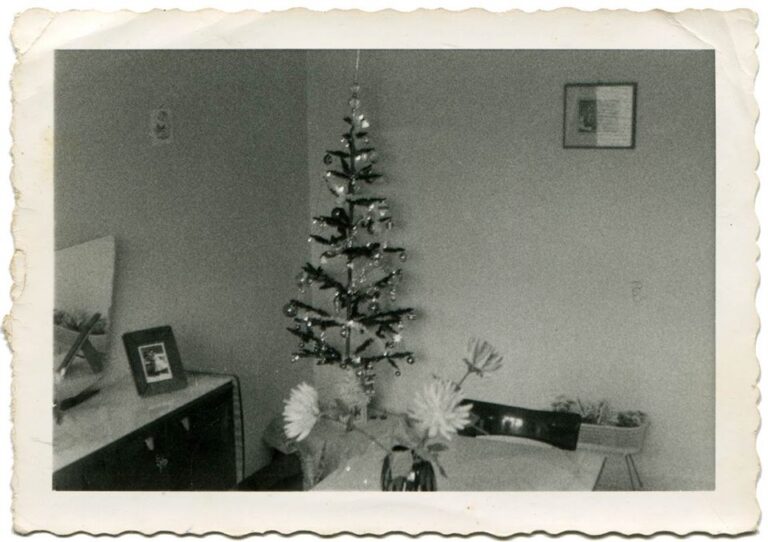 casciaroeilnatale