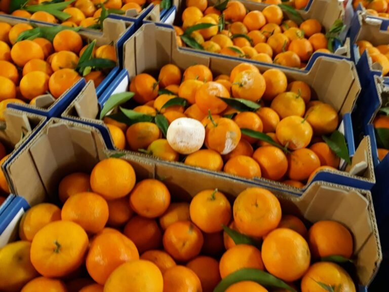 Clementine