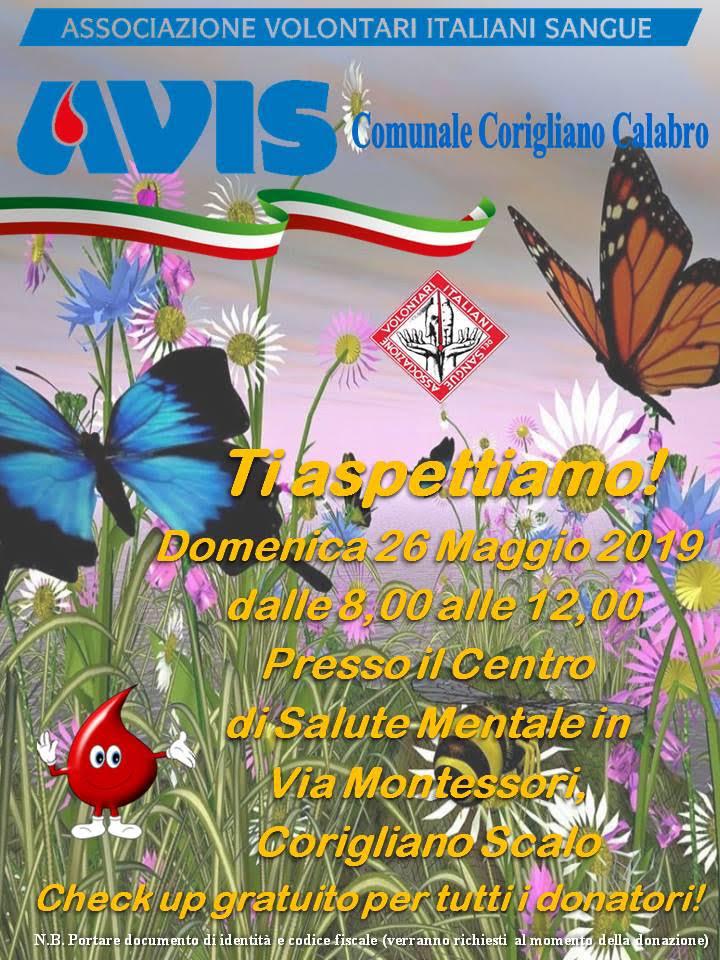 avismaggio