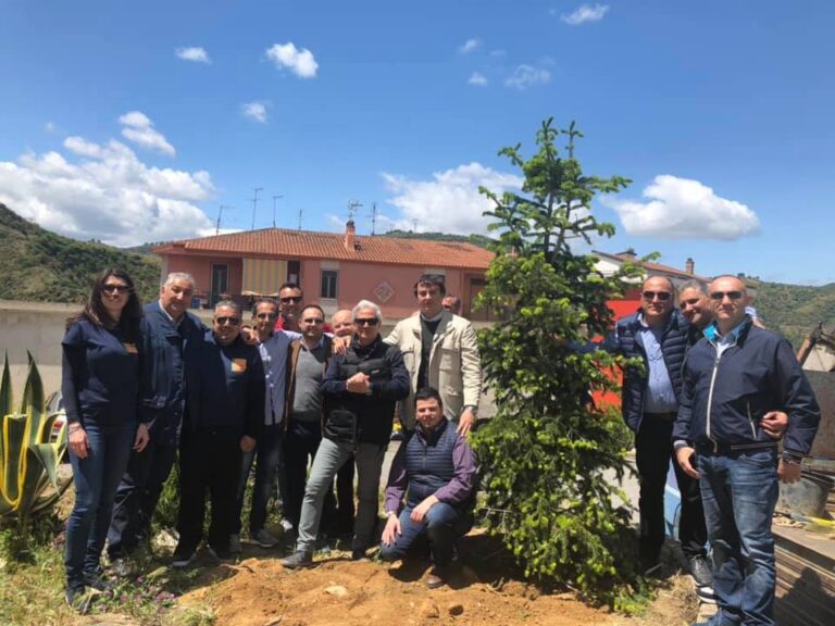 foto_albero