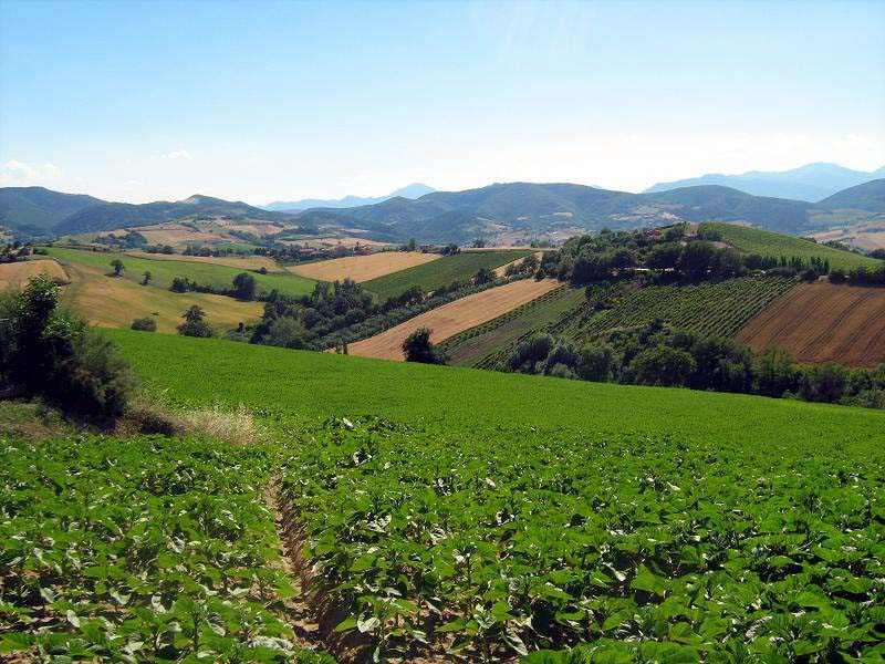 terreni