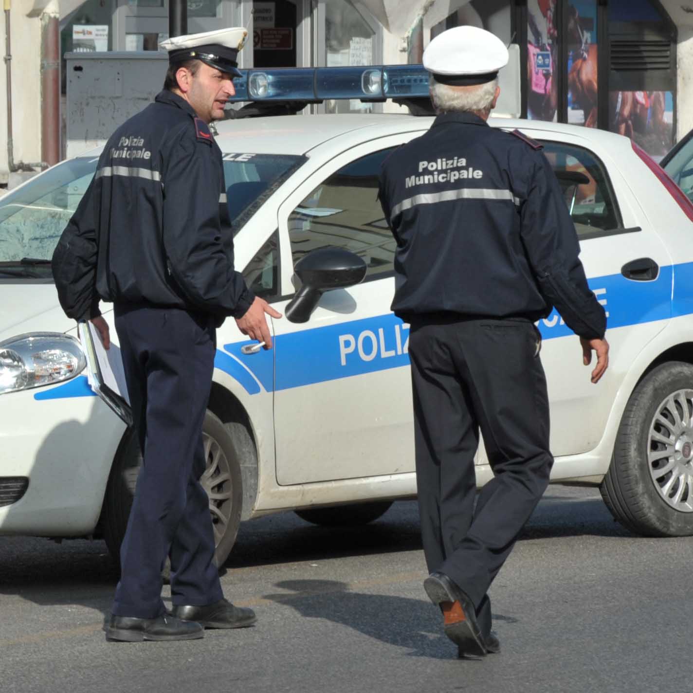 vigili