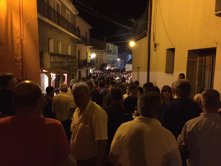 vinivacca