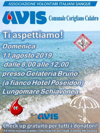 avis11agosto