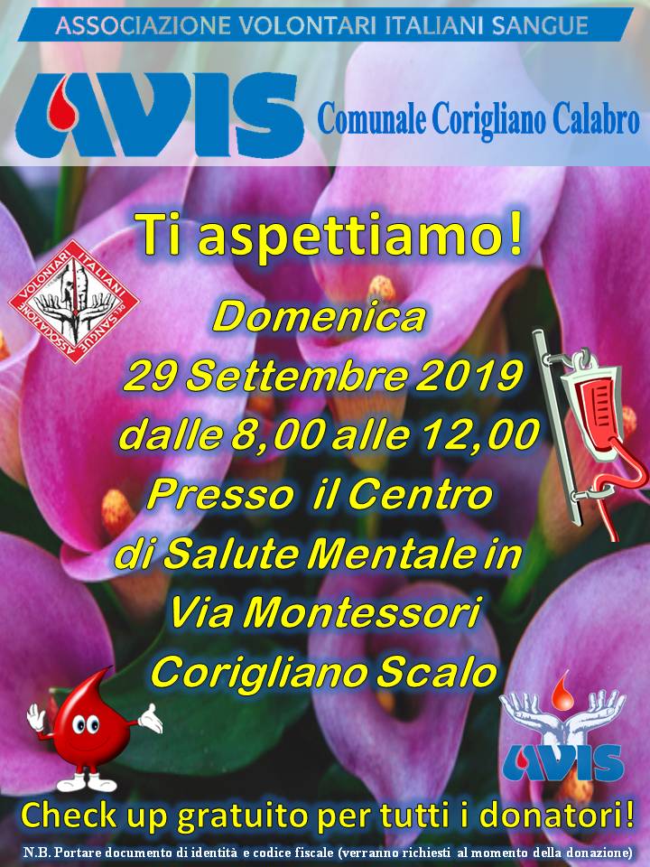 avis29set