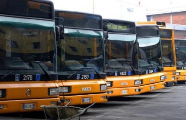 bus