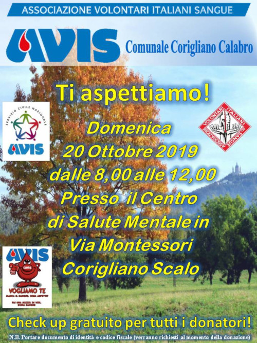 avis20ott