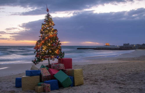 alberospiaggia