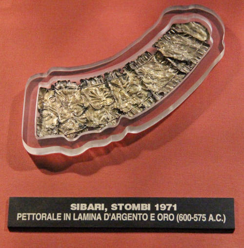 pettorale