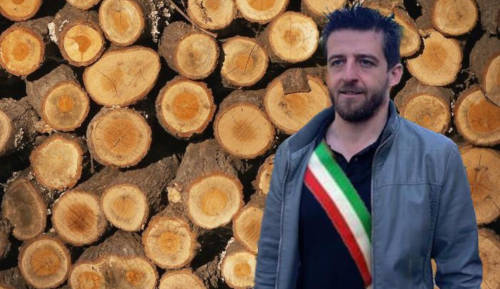 stasi_legno
