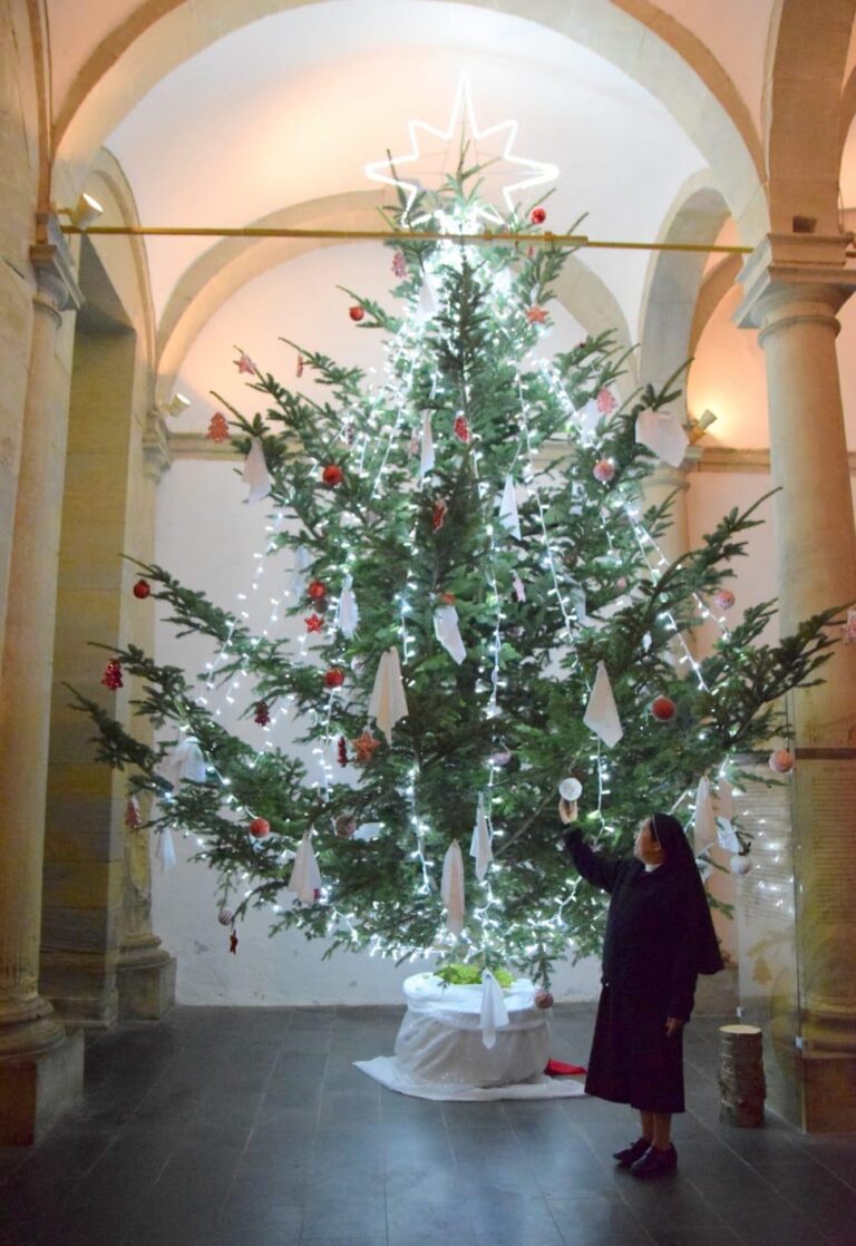 alberopaola