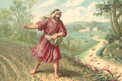 seminatore