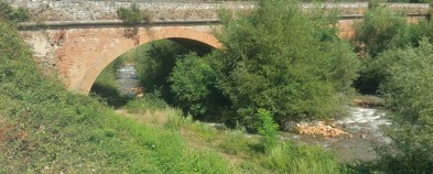 duglia1