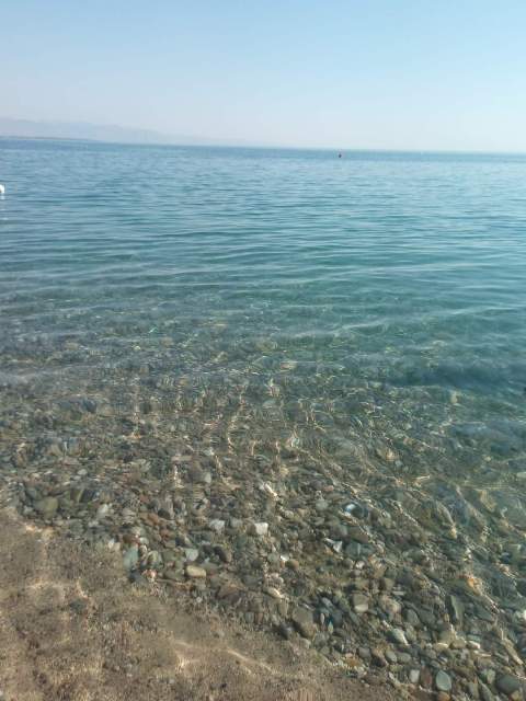 mare