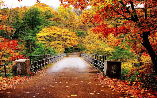 autunno