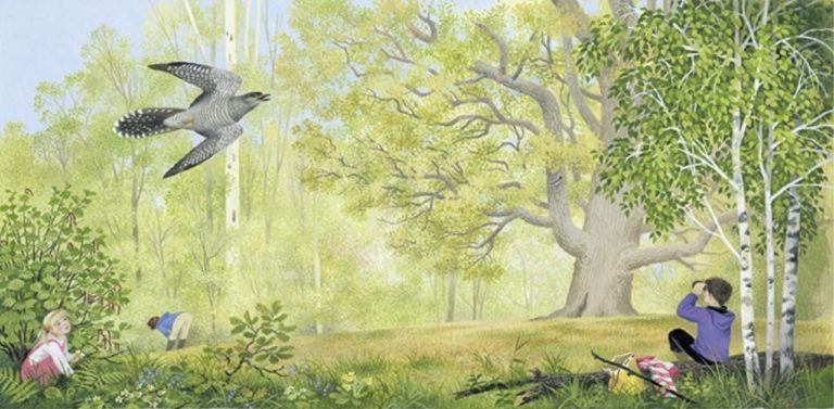 la-grande-quercia-768x377