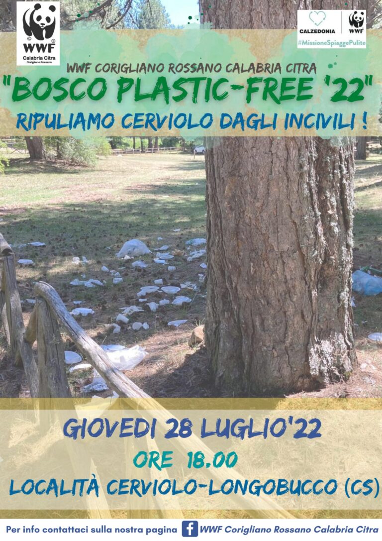 locandina_plastic_free_cerviolo