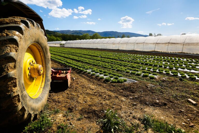 agricoltura