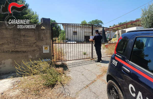 sequestro-roseto