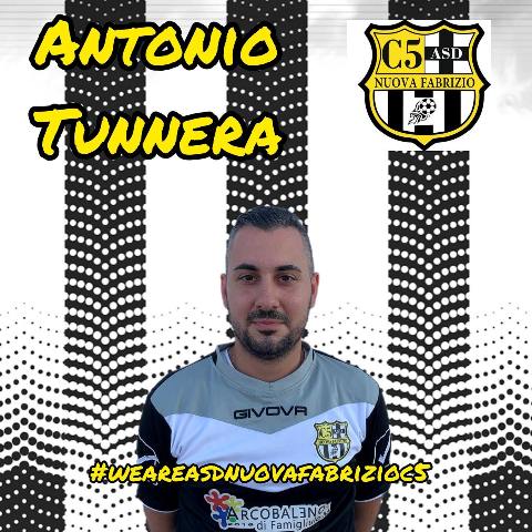 tunnera