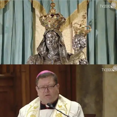 vescmado