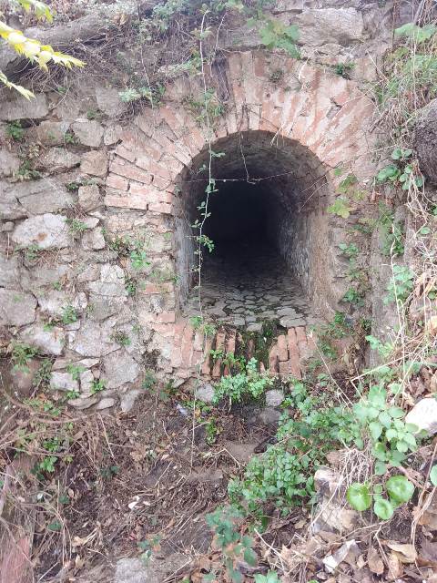 Bosco_dellAcqua_3_San_Francesco