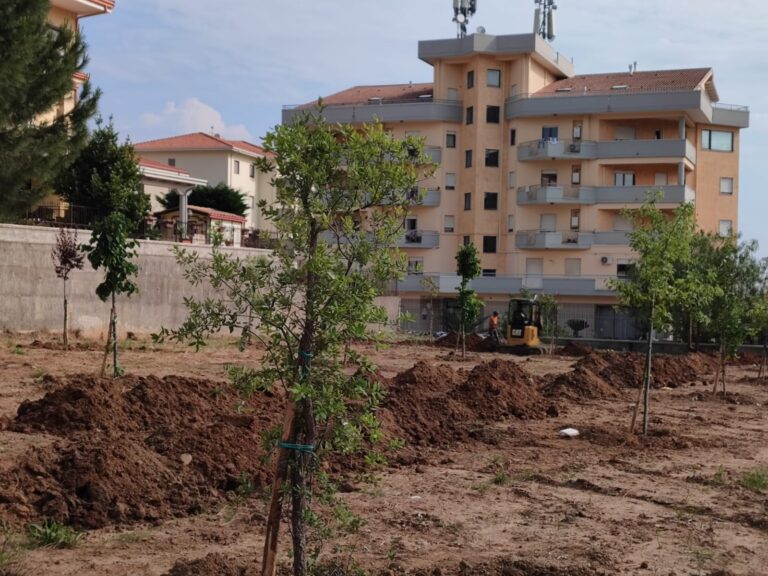 bosco1
