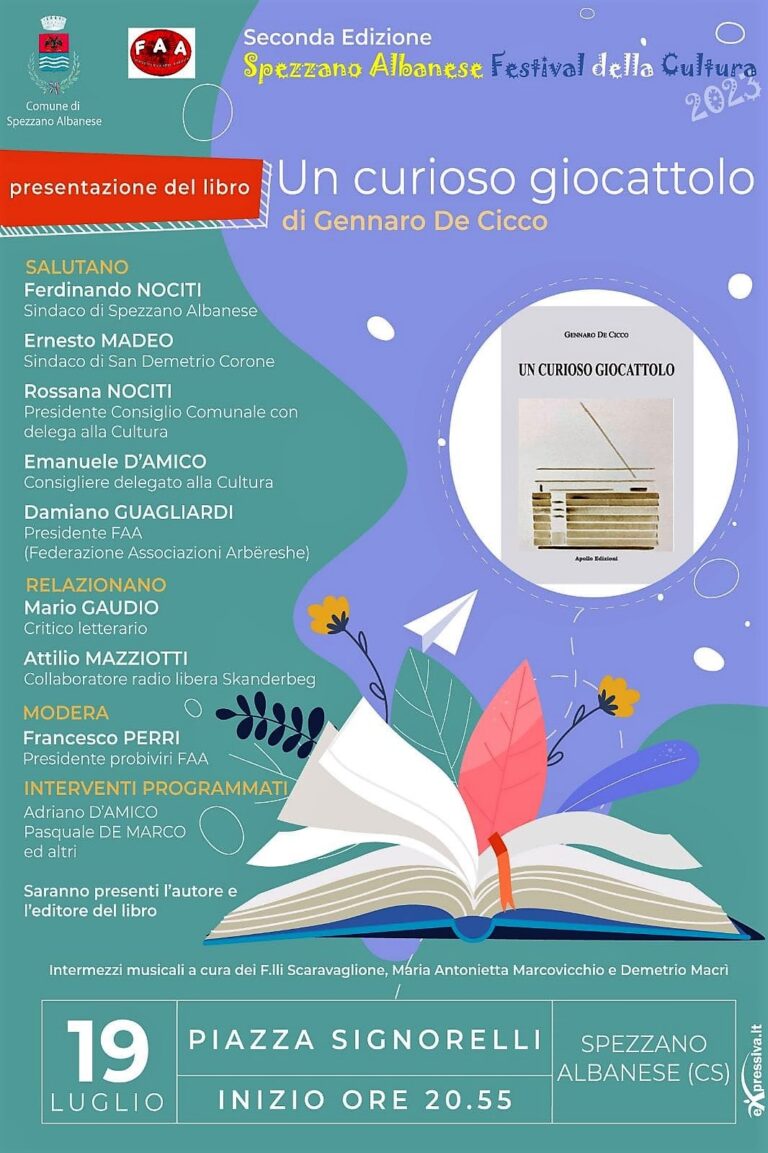 LOCANDINA__UN_CURIOSO_GIOCATTOLO_ccc