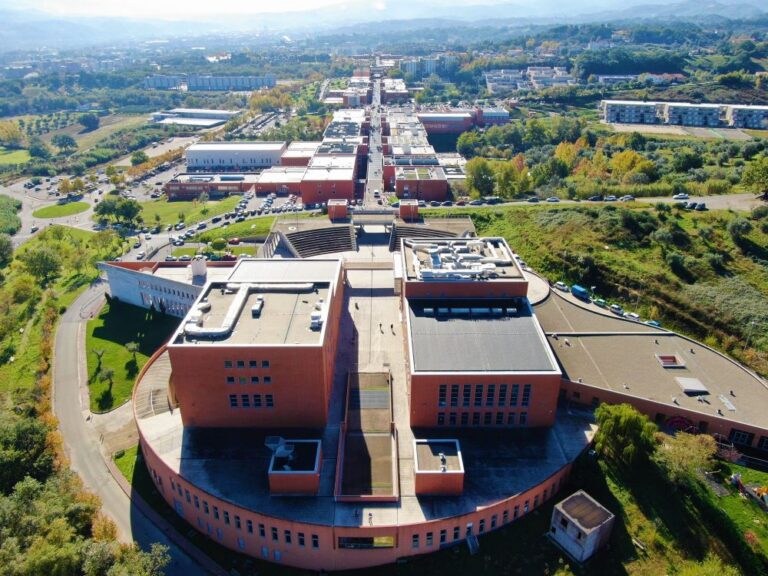 unical-2