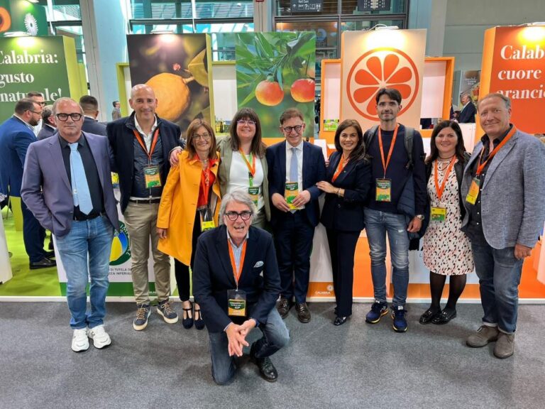 Consorzio