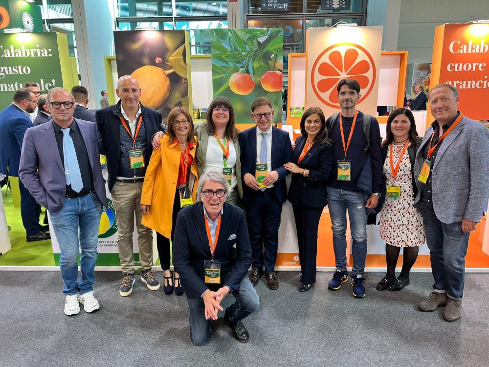 Consorzio
