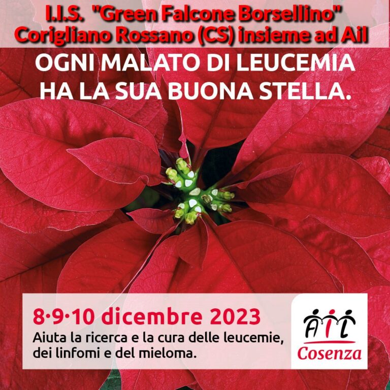 Stelle_Natale_Ail_Corigliano_scalo_09_12_23