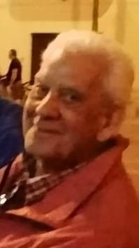 stefano