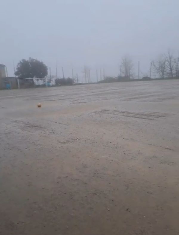 caloveto1