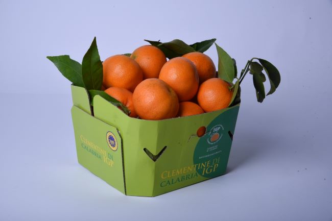 foto-comunicato-consorzio-n.-3