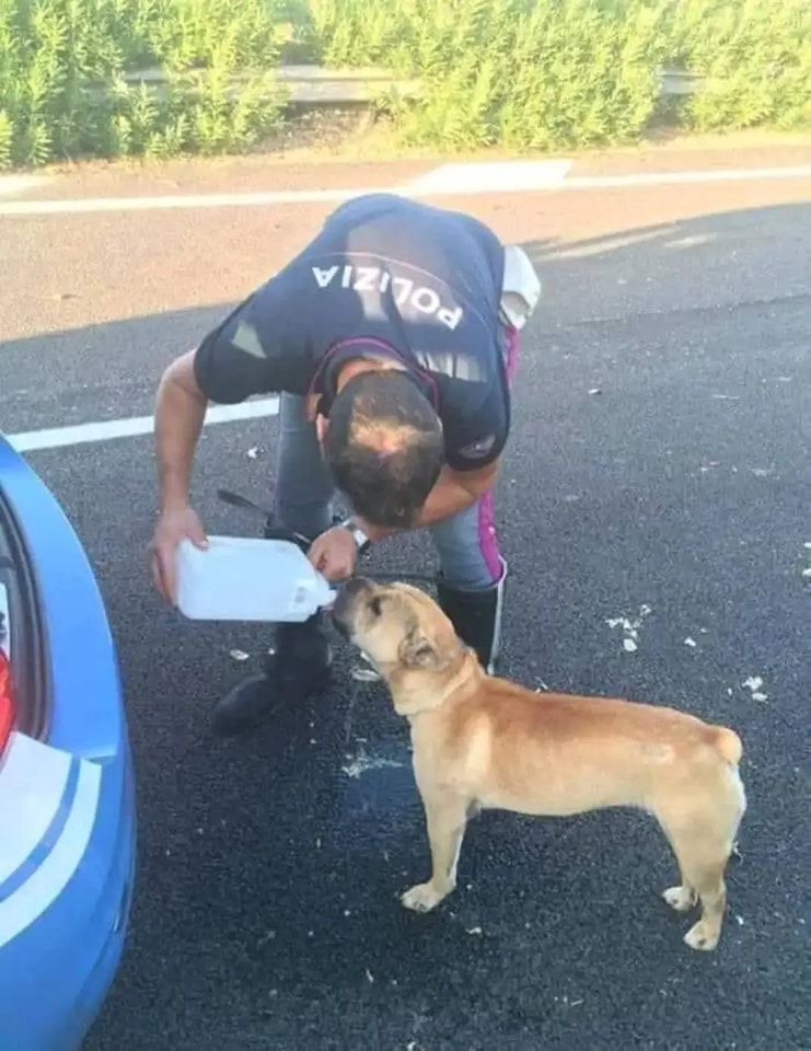 polizia-cane