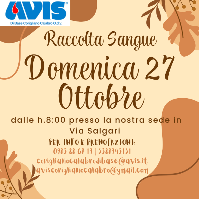 avis27ott