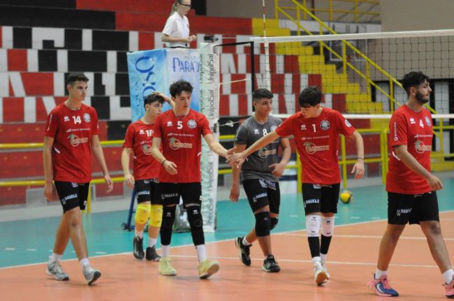 volleycorig