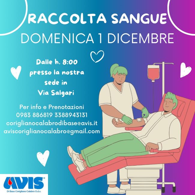 avis1dic