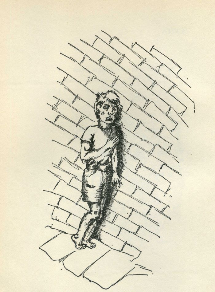 disegno